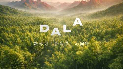Latest company news about DALAブランド アップグレードのお知らせ
